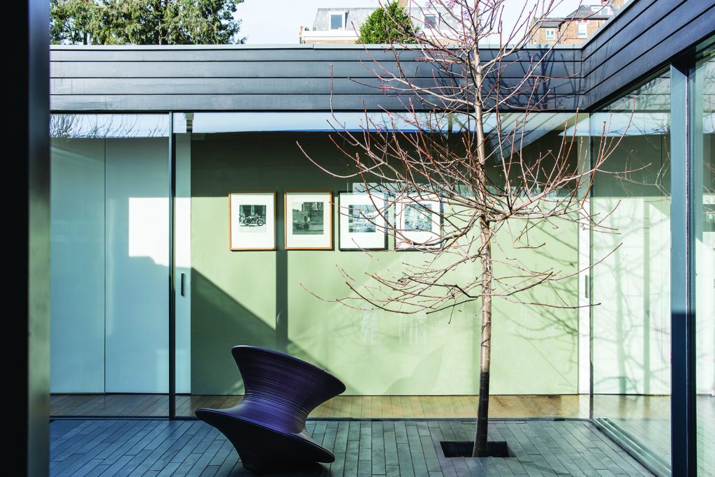 Open Courtyard With Tree