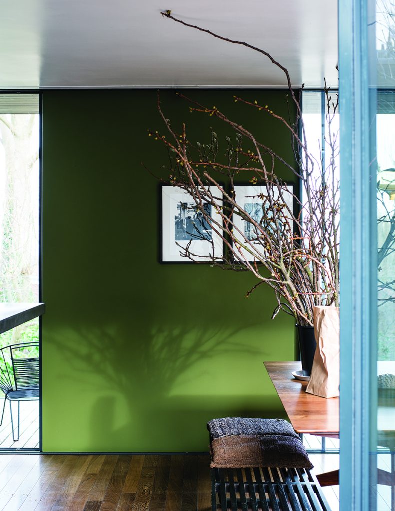 Green Wall Paint