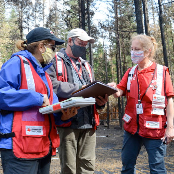 Forest Working