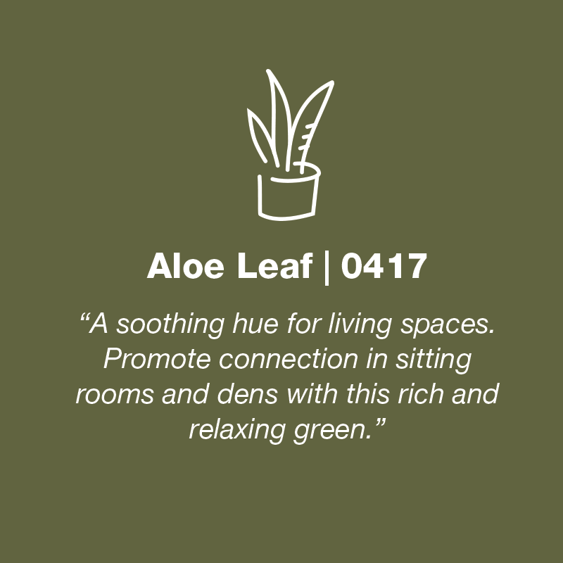 Aloe Lead | 0417