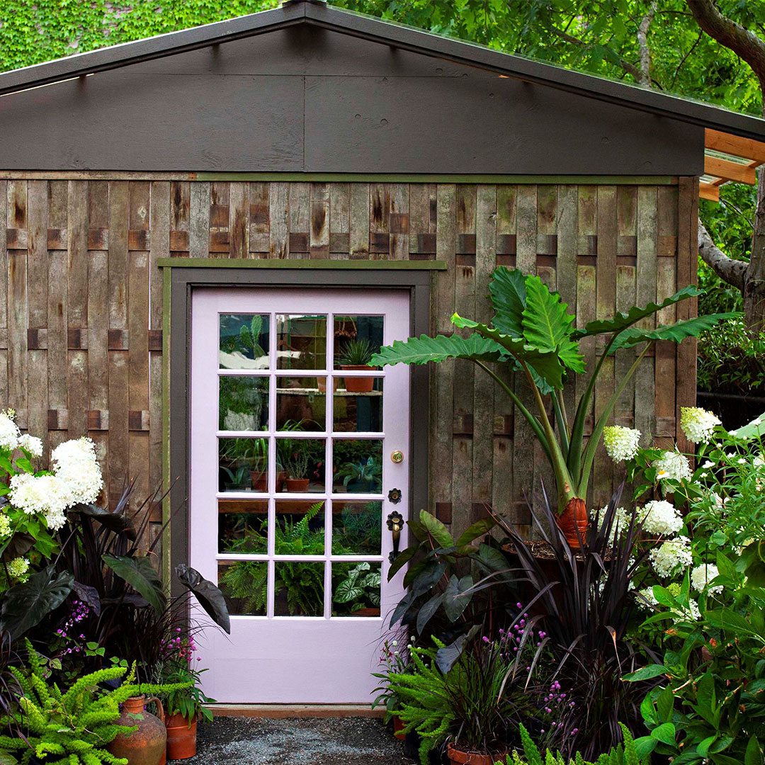 Exterior Doors + Window Boxes