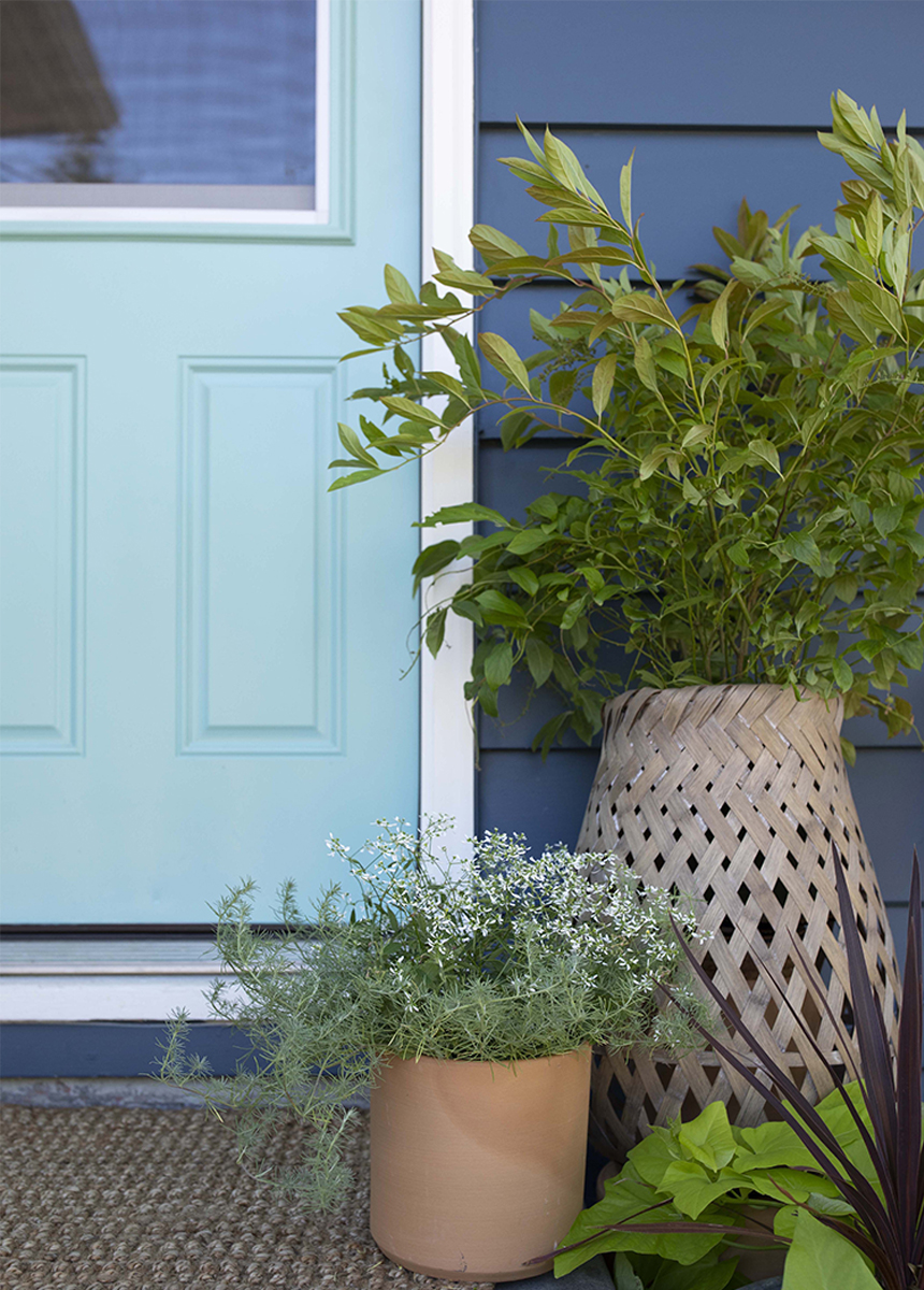 close-up door