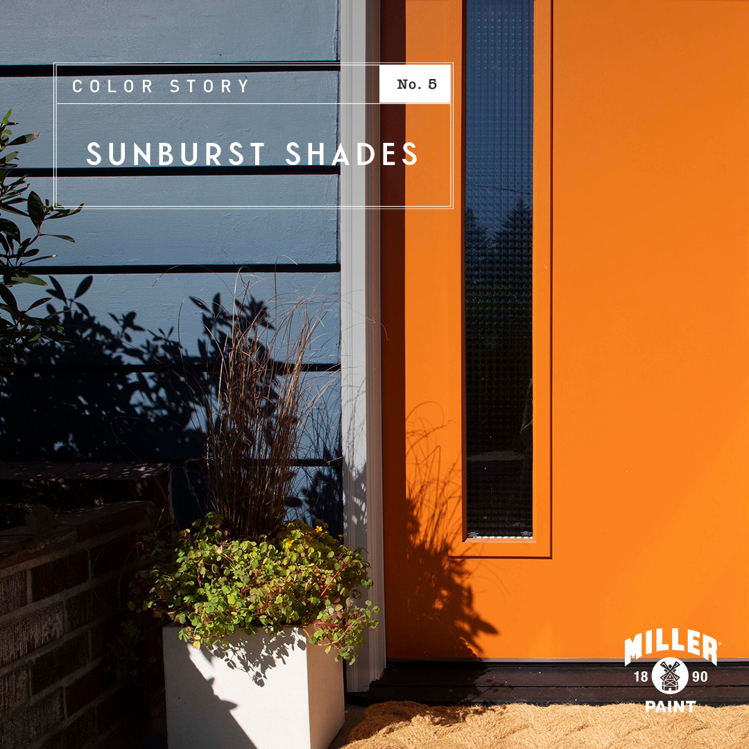 Color Story No. 05 Sunburst Shades