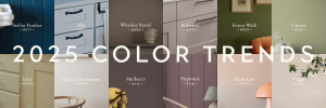 Color Trends For 2025 2025 Color Trends Banner 1 300x100